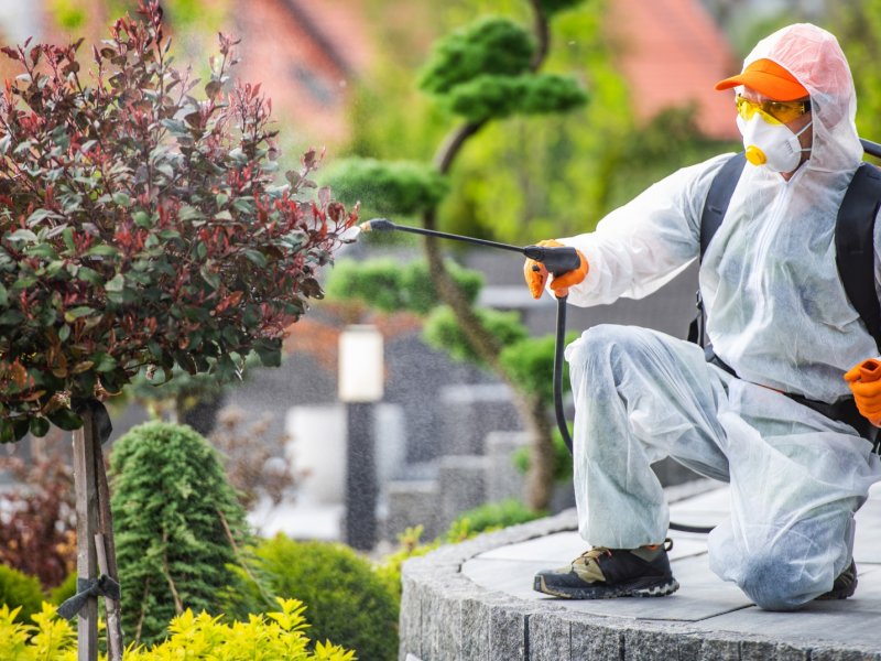 Çandarlı Haşere İlaçlama