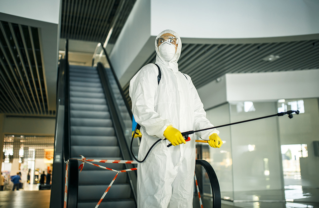 Çandarlı Haşere İlaçlama